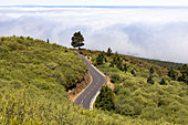 Cloud cover on the slope of the Teide volcano in Teide National Park, Tenerife, Spain
