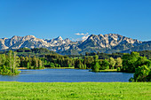 Schwaltenweiher mit Tannheimer Bergen im Hintergrund, Schwaltenweiher, Ostallgäu, Allgäu, Bayern, Deutschland