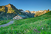 Path leads through flower meadow to Alm, gable, Schochen and Seeköpfe in the background, Käseralp, Hintersteiner Tal, Allgäu Alps, Allgäu, Swabia, Bavaria, Germany