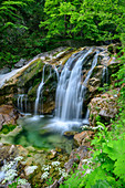 Waterfall in the Pöllatschlucht, Schwangau, Upper Bavaria, Bavaria, Germany