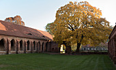 Herbst am Kloster Chorin, ehemaliges Zisterzienserkloster in der Schorfheide, Landkreis Barnim, Brandenburg, Deutschland