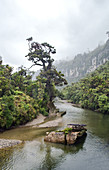 The Paparoa River leads into Paparoa National Park on the West Coast of New Zealand.
