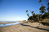 Purakanui Beach in den Catlins, eine Region im Bezirk Otago in Neuseeland