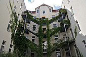 Mit wildem Wein an den Treppen begrüntes Wohnhaus in Halle an der Saale in Sachsen-Anhalt, Deutschland
