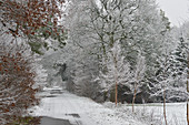 Einsamer Feldweg ins Moor an einem Wintertag, Geestland, Landkreis Cuxhaven, Niedersachsen, Deutschland