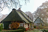 Old thatched-roof house in the moor on an autumn day, Geestland, Cuxhaven district, Lower Saxony