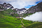 Die Weide von Meglisalp zwischen Sonnenlicht und Nebel, Kanton Appenzell, Alpstein, Schweiz, Europa