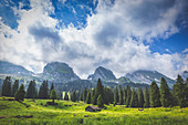 Alte Berghütte bei Alp Sellamatt, Alt St. Johann, Toggenburg, Kanton St. Gallen, Schweiz, Europa