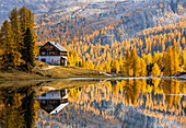 Italien, Venetien, Belluno, Cortina d'Ampezzo, Rifugio Croda Da Lago (Palmieri Hütte) reflektiert sich im Federa-See