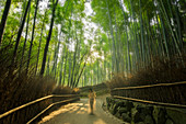 model in Arashiyama bamboo forest, Kyoto, Japan