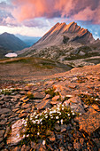 Taillante crest during a stunning sunset, Ristolas, France