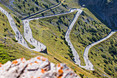 Radfahrer im Stilfser Joch während des Stilfserjoch-Radtages. Bormio, Lombardei, italienische Alpen