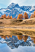 Reflexion in Laghi del Sangiatto in Alpe Devero im Herbst, Provinz Verbano Cusio, Ossola, Piemont, Italien