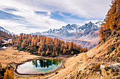 Reflection into Lago del Sangiatto in Alpe Devero in autumn, province of Verbano Cusio - Ossola, Piedmont, Italy
