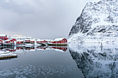 Traditionelle 'Rorbu'-Häuser mit mit dem Berg Reinebringen, der sich auf dem gefrorenen Fjord spiegelt, Reine, Lofoten, Nordland, Nordnorwegen, Norwegen