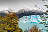 Perito Moreno with trees, Lago Argentino and mountains in autumn. Los Glaciares National Park, Santa Cruz province, Argentina.
