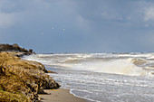 Strong storm on the Baltic Sea coast, Rosenfelder Strand, Ostholstein, Schleswig-Holstein, Germany