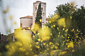 Die Abtei von Sant'Antimo im Frühling, Castelnuovo dell'Abate, Grosseto, Toskana, Italien, Europa