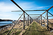 Dried fish racks on the island of Nordöyan, fishing village, Folda, Namdalen, Trondelag, Norway