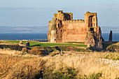 Vereinigtes Königreich, Schottland, East Lothian, North Berwick, das im 14. Jahrhundert erbaute Tantallon Castle