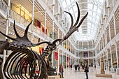 United Kingdom, Scotland, Edinburgh, listed as World Heritage, National Museum of Scotland, the atrium of the Grand Gallery and its high windows