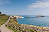 United Kingdom, Northern Ireland, County Antrim, Ballintoy, pathway to the Carrick-a-Rede Rope Bridge