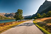 COAST ROAD BORDERING A FJORD IN A MOUNTAINOUS LANDSCAPE, REKVIK, ISLAND OF KVALOYA, TROMSO, NORWAY