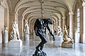 THE LARGE SHADOW BY AUGUSTE RODIN, FINE ARTS PALACE, LILLE, NORD, FRANCE