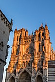 Die Kathedrale Notre Dame D'amiens, Somme, Picardy, Hauts-De-France, Frankreich
