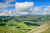 View of fields in the valley floor of Castelluccio, Sibillini Mountains, Monti Sibillini, National Park Monti Sibillini, Parco nazionale dei Monti Sibillini, Apennines, Marche, Umbria, Italy
