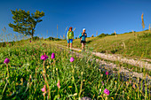 Man and woman hiking through flower meadow, Grande Anello dei Sibillini, Sibillini Mountains, Monti Sibillini, National Park Monti Sibillini, Parco nazionale dei Monti Sibillini, Apennines, Marche, Umbria, Italy