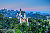 Schloss Neuschwanstein zur blauen Stunde vor Tannheimer Bergen, Neuschwanstein, Ammergebirge, Ammergauer Alpen, Schwaben, Bayern, Deutschland