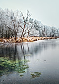 Winter landscape with snowfall at the lake, Andechs, Bavaria, Germany