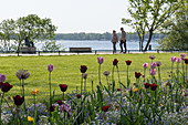 Waren (Müritz), health resort in the district of Mecklenburg Lake District in the state Mecklenburg-Western Pomerania, Deutschkand
