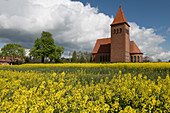 Catholic Church Levitzow behind the blooming rape field, Mecklenburg-Western Pomerania, Germany