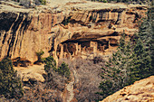 Cliff Palace im Mesa Verde Nationalpark, Colorado, USA, Nordamerika