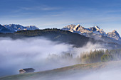 Gerold in the thick morning mist, Krün, Bavaria, Upper Bavaria, Germany,