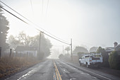 Strasse im Morgennebel bei Point Reyes, Kalifornien, USA