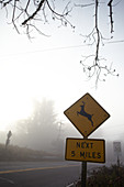 Warnschild für Wildwechsel im Morgennebel bei Point Reyes, Kalifornien, USA