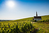 Chapel in the vineyards, Eichert Chapel, Jechtingen, Kaiserstuhl, Baden-Württemberg, Germany