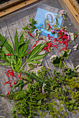 Kräuter und Blüten auf Trockengitter, Selbstgemachtes mit Kräutern aus dem eigenen Garten