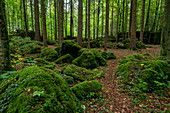 Felsblöcke im Druidenhain, sagenumwobenes Waldstück, fränkische Schweiz, Bayern, Deutschland, Europa