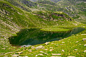 Kleiner Bergsee an der Oberkaseralm, Naturpark Texelgruppe, Südtirol, Italien