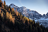 Blick auf das Bergmassiv des Karwendel, im Vordergund Herbstwald, Ahornboden, Hinterriß, Tirol, Österreich, Europa