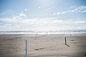 Wooden poles in the sand on a deserted beach in winter, Forte die Marmi, Tuscany, Italy