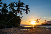 Sonnenuntergang am Strand mit Palmen, Insel Boipeba, Bahia, Brasilien, Südamerika