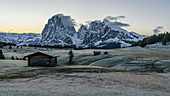 Frühmorgens auf der Seiser Alm in den Dolomiten mit Blick auf Langkofel und Plattkofel, Südtirol, Italien