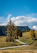 Herbsttag auf der Seiser Alm in Südtirol, Italien