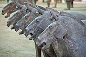 Pferdestatuen der Terrakotta-Armee im Terrakotta-Krieger- und Pferdemuseum, das die Sammlung von Terrakotta-Skulpturen zeigt, die die Armeen von Qin Shi Huang (259 v. Chr. - 210 v. Chr.), dem ersten Kaiser Chinas, in Xian, China, darstellen.