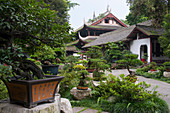 Der Bonsai-Garten und Pavillon im Du Fu Cottage des Dichters Du Fu (712